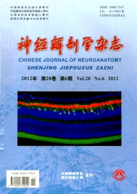 点击查看医学核心无痛人流《神经解剖学杂志》投稿